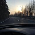 成都（翻唱）