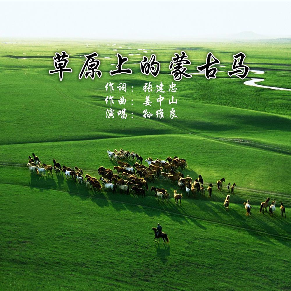 草原上的蒙古马