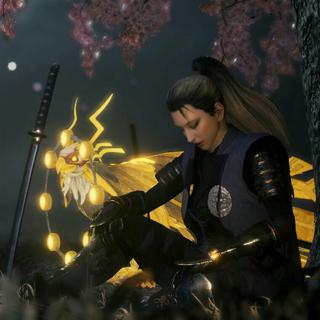 （NIOH）仁王&仁王2