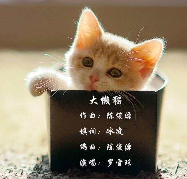 大懒猫专辑