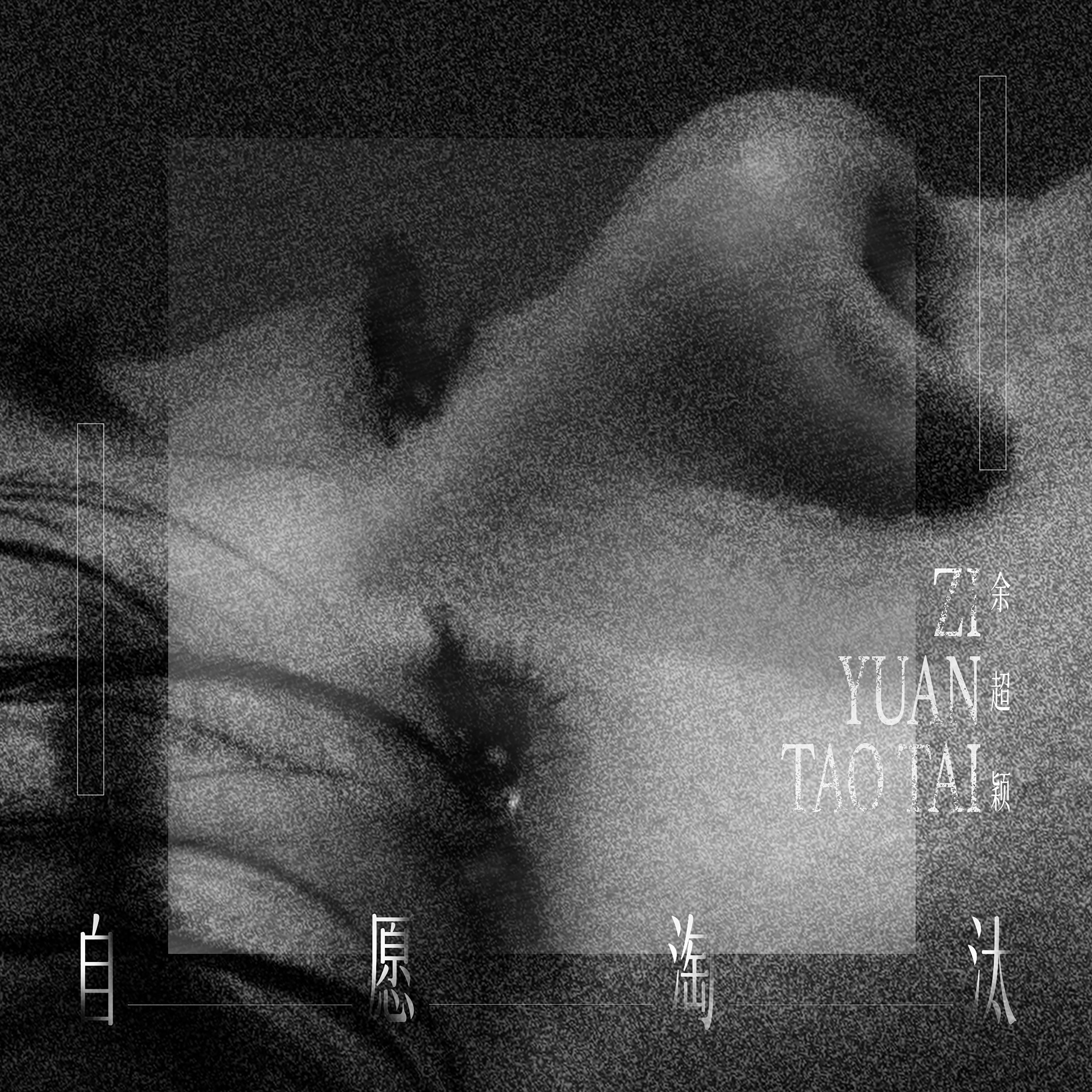 自愿淘汰专辑