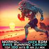 Workout Electronica - Chillout Oasis (Dance Mixed)