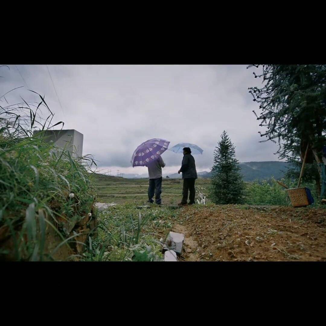 四个春天纪录片-青年友谊圆舞曲