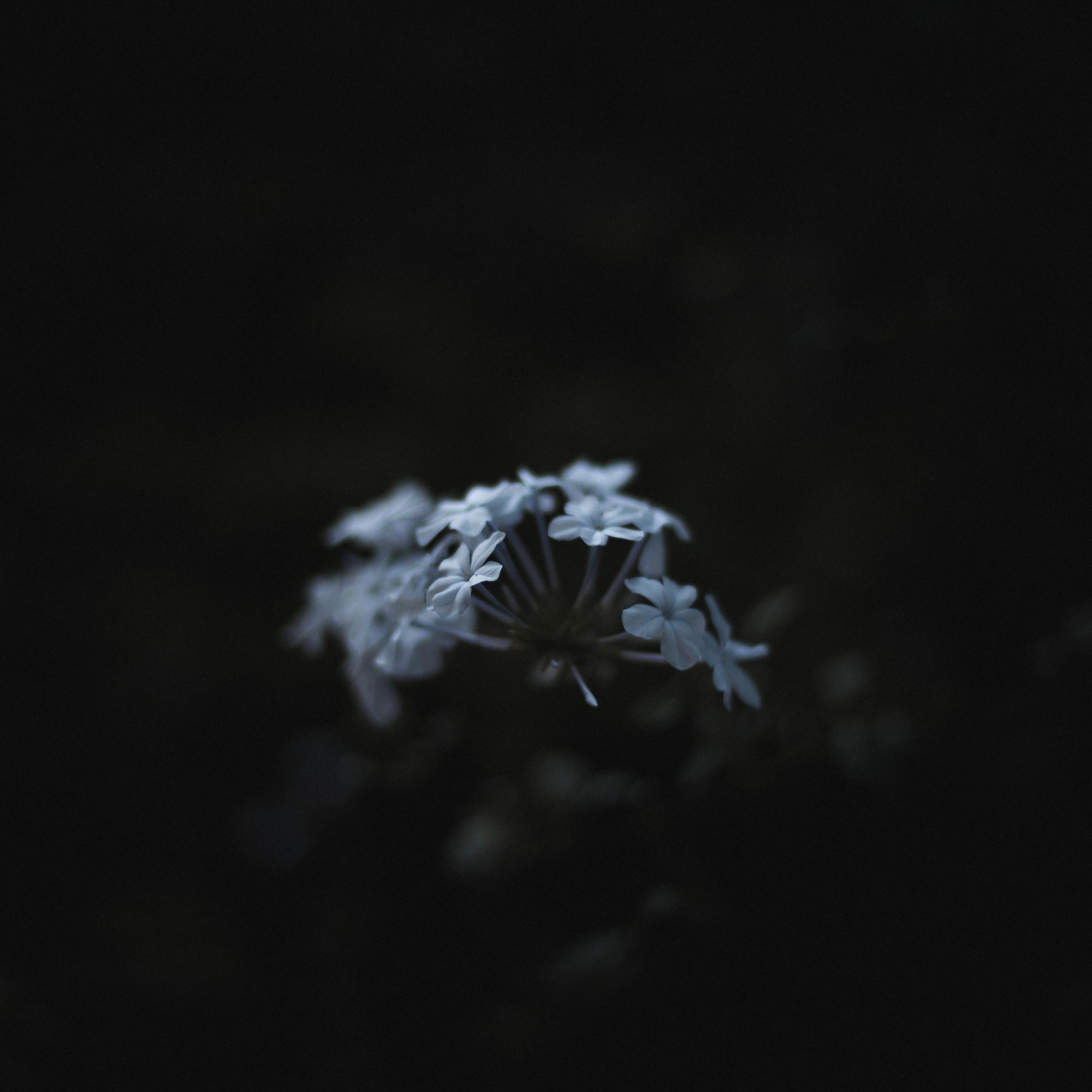 Twisted (François Rengère Remix)