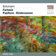 Kinderszenen, Op. 15:No. 10, Fast zu ernst