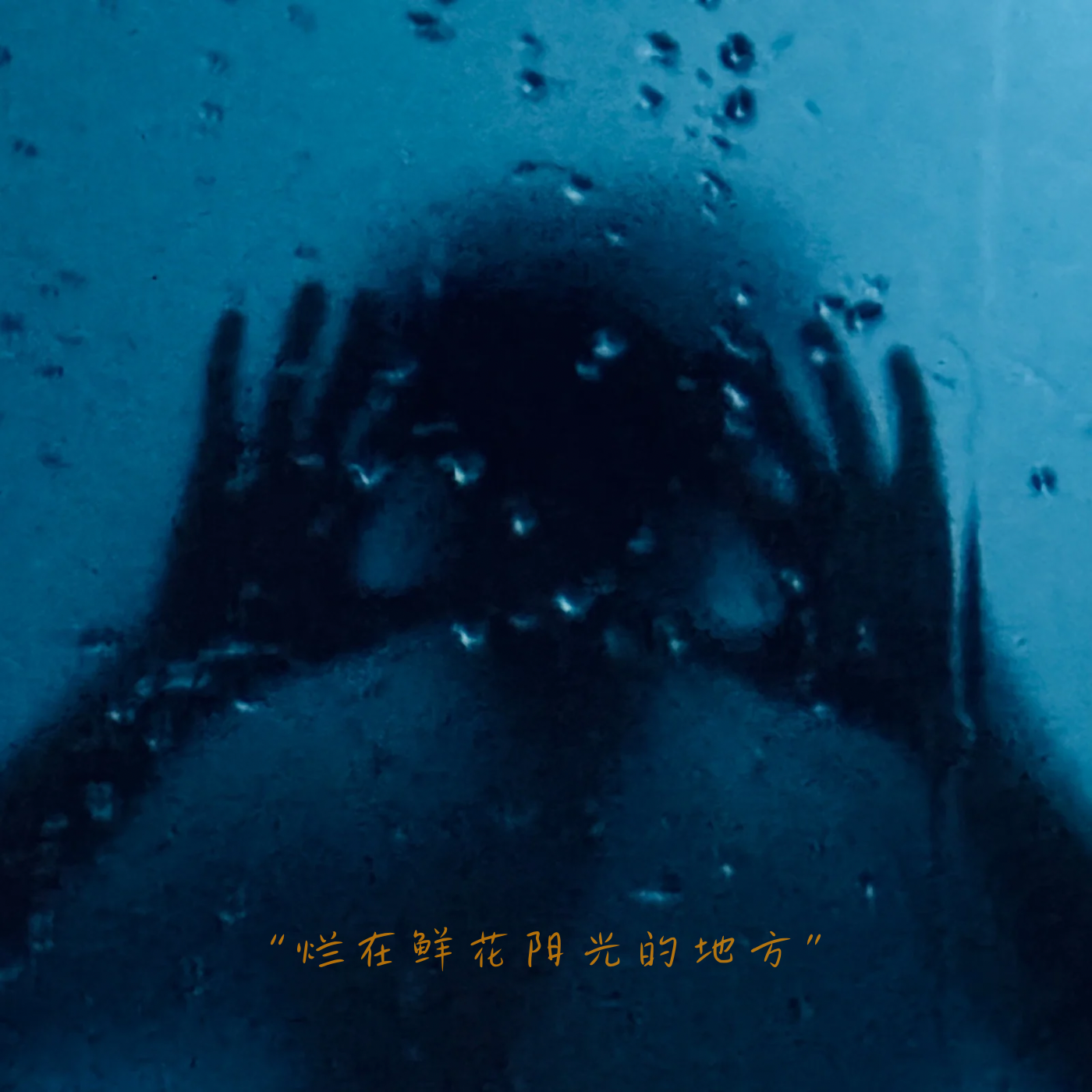 烂在鲜花阳光的地方专辑