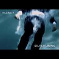 Silver Lining (Int'l DMD Maxi)