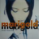 marigold专辑