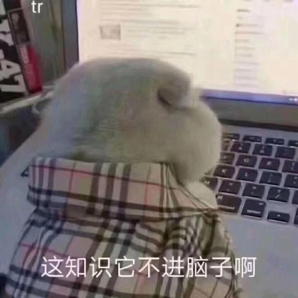 岸部真明，押尾光太郎 轻音乐