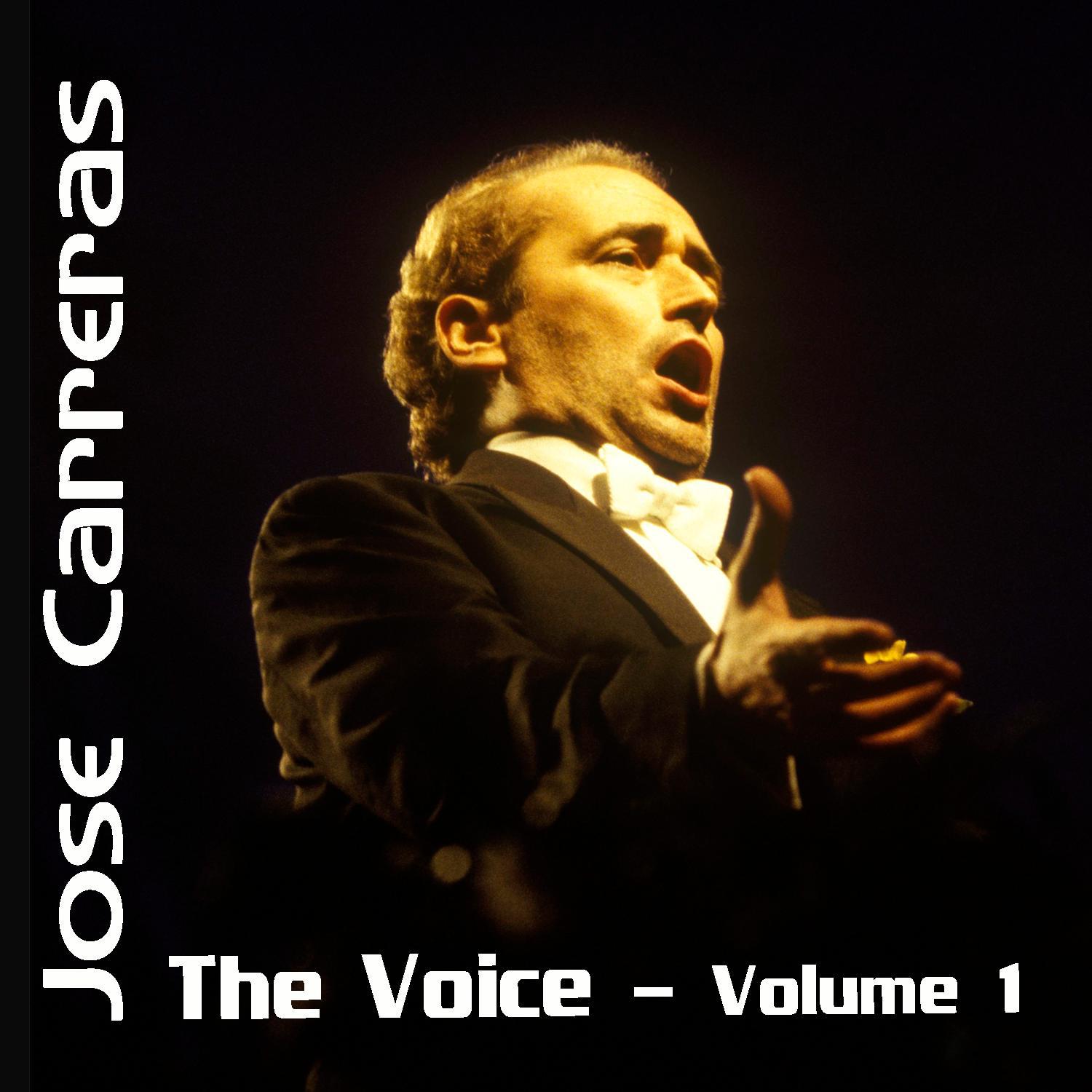 The Voice Volume 1专辑