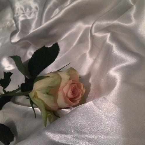 until we all fade away (prod. yung skah)