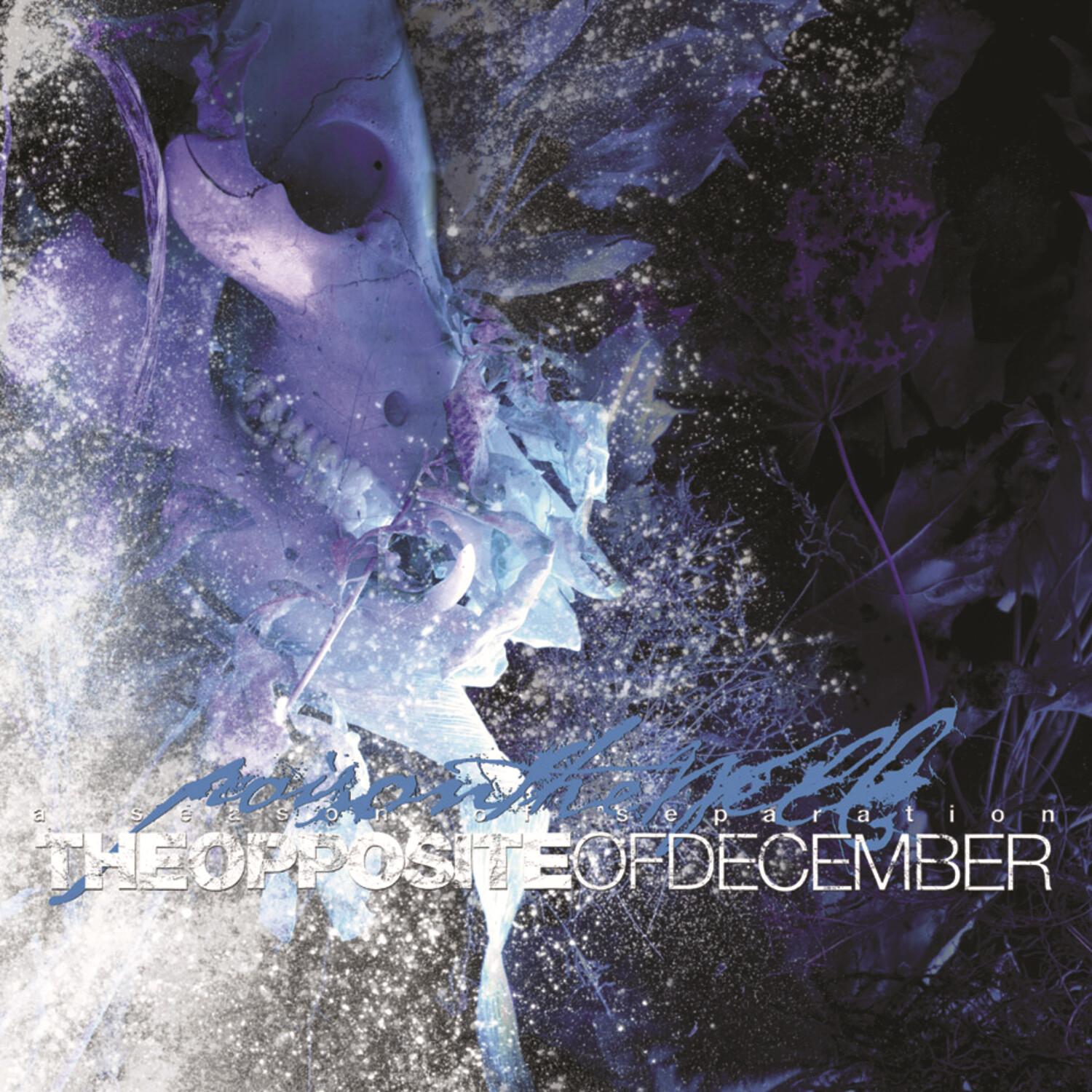 The Opposite of December