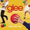 A Boy Like That (Glee Cast Version)专辑