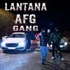 Lantana - AFG GANG