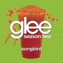 Songbird (Glee Cast Version)专辑