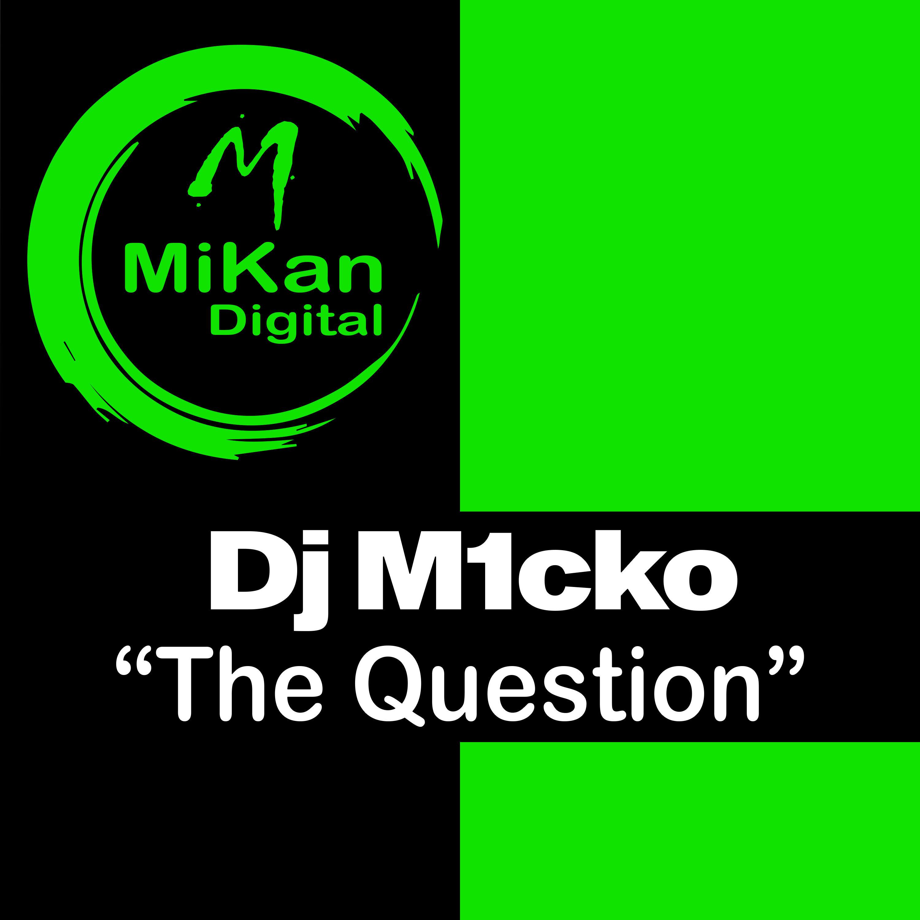 Dj M1cko - The Question