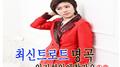 최신 트로트 명곡 인기 성인애창가요 1, 2专辑