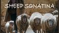 Sheep Sonatina专辑