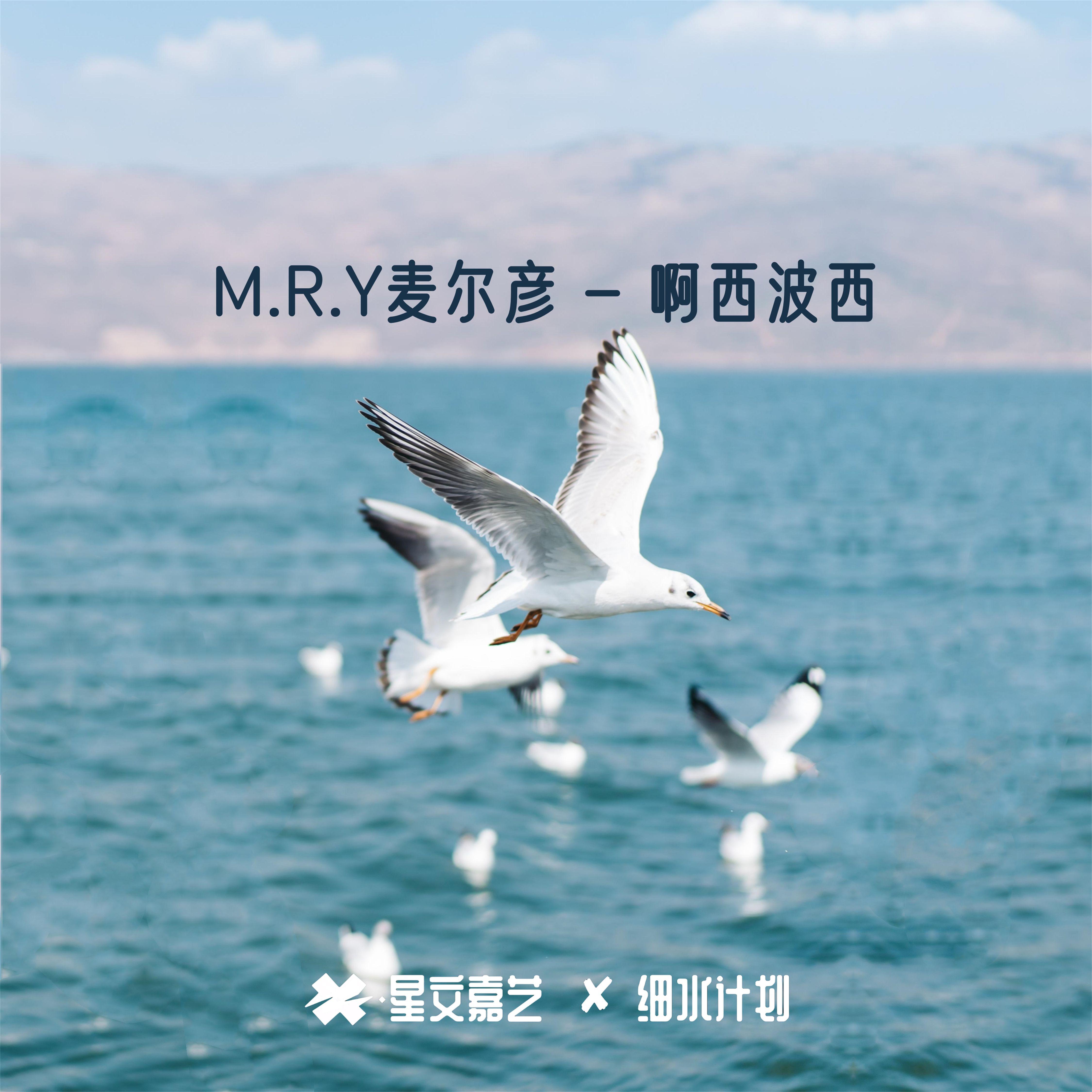 啊西波西