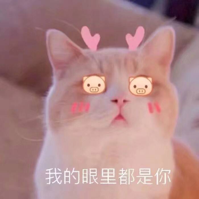 ・‿・专辑