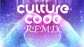 Moment To Arise (Culture Code Remix)专辑