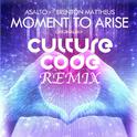 Moment To Arise (Culture Code Remix)专辑