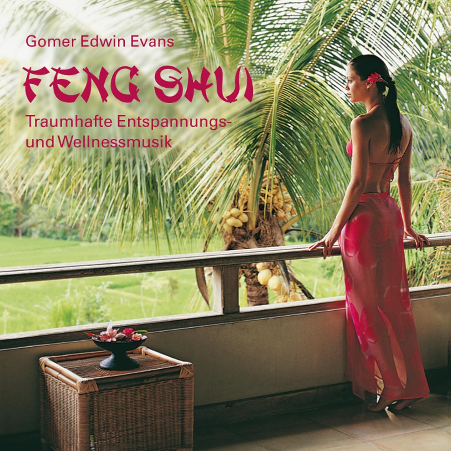 Feng Shui: Wohltuende Entspannungsmusik专辑