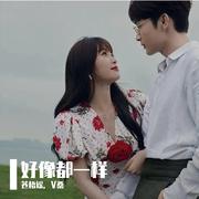 好像都一样（电视剧《两个人的小森林》片尾曲）