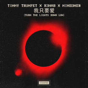 Timmy Trumpet - Life Like This (BB Instrumental) 无和声伴奏 （升6半音）