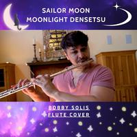 Sailor Moon - Moonlight Densetsu  Heart Moving (ムーンライト伝説) (Karaoke Version) 带和声伴奏