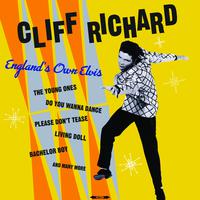 Fall In Love With You - Cliff Richard (unofficial Instrumental)