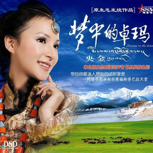 卓玛央宗 - 和谐西藏(原版立体声伴奏)