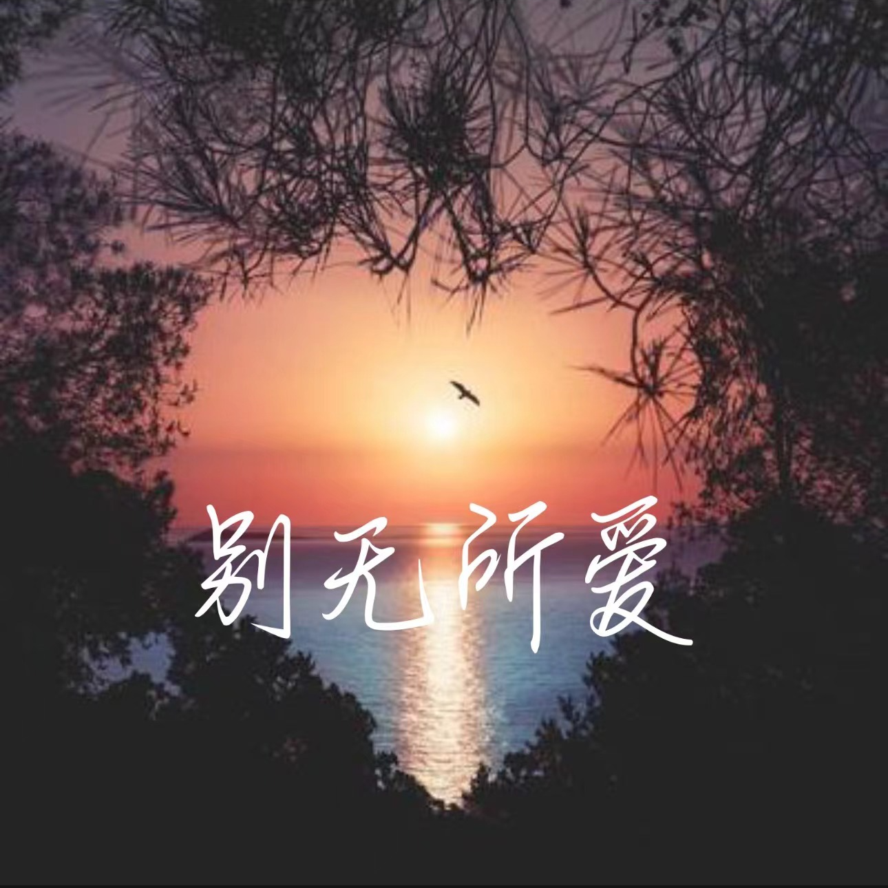 别无所爱专辑