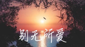 别无所爱专辑