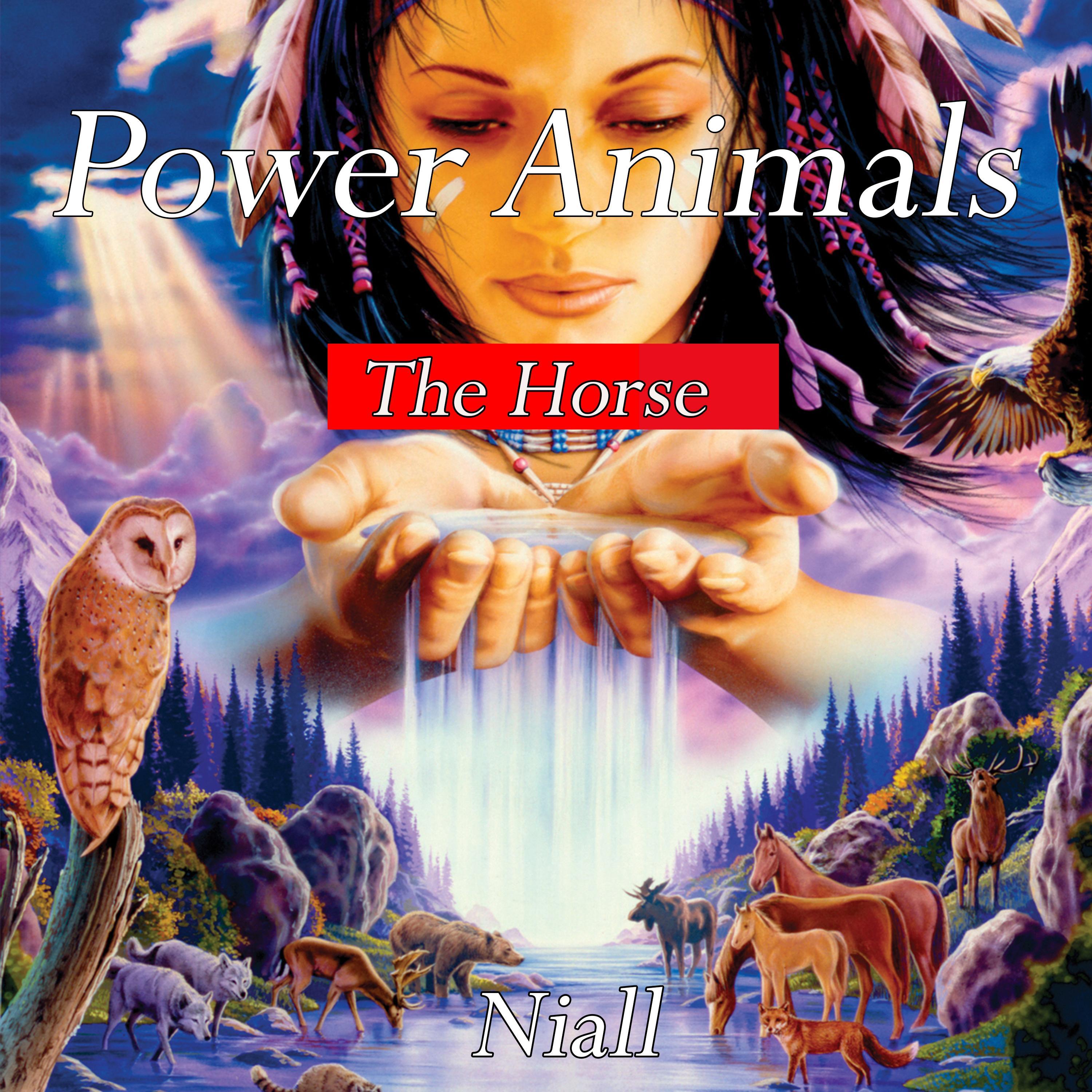 Power Animals - The Horse