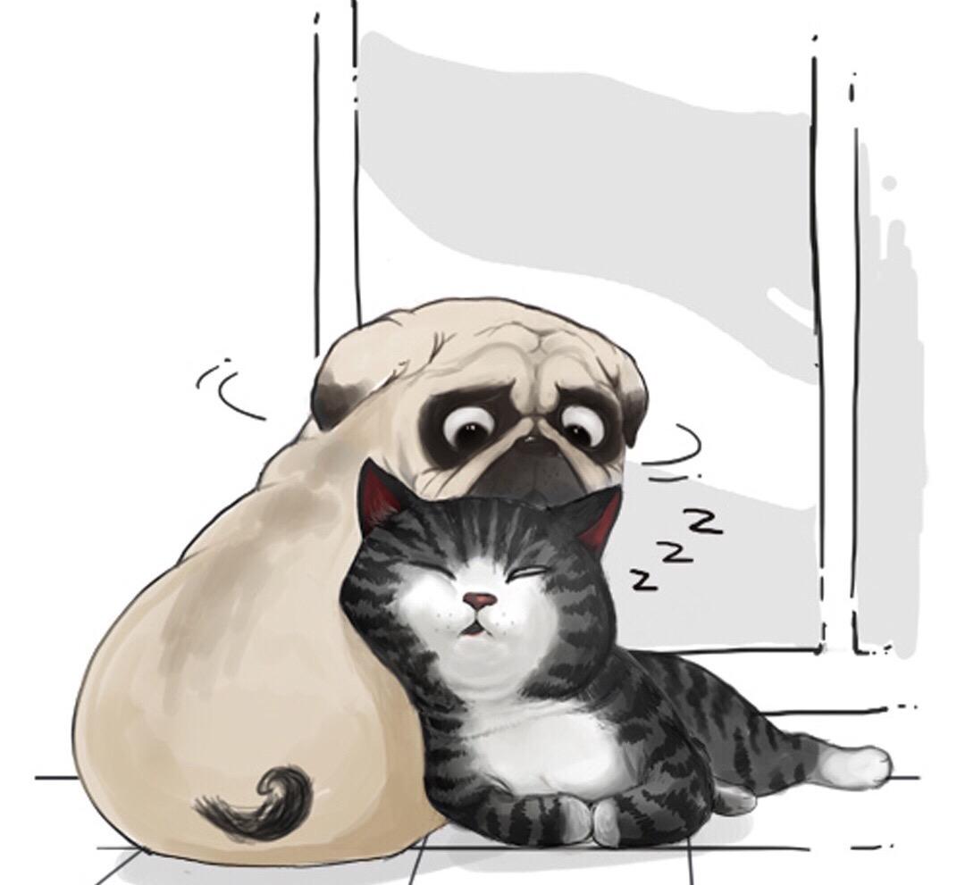 相思(cover 仇志)