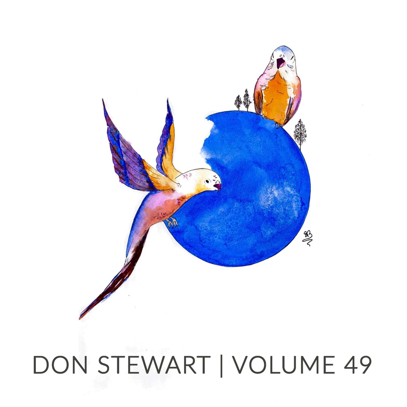 Don Stewart - The Hard Way