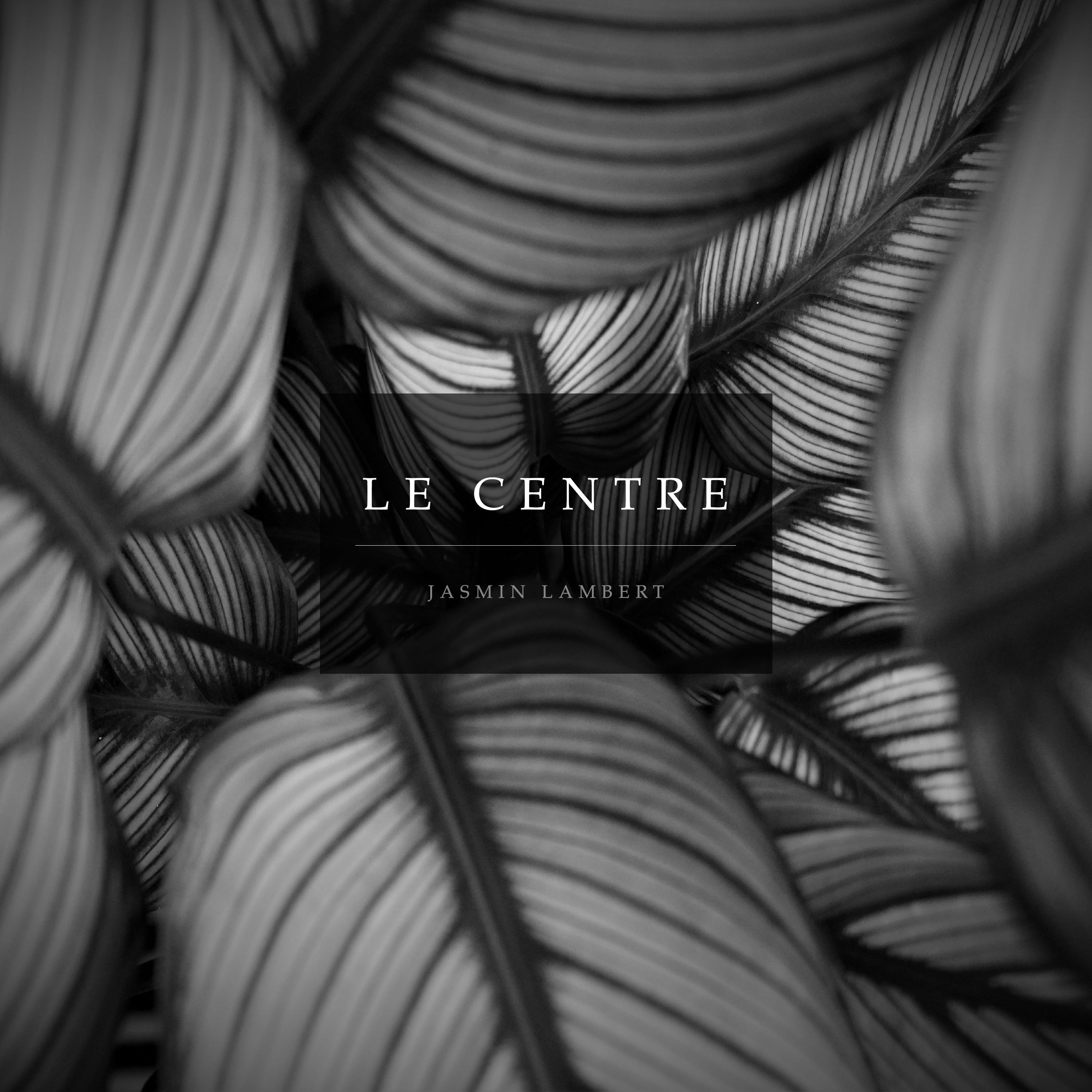 Le centre