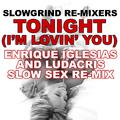 Tonight (I'm Lovin' You) (Enrique Iglesias and Ludacris Slow Sex Re-Mix)