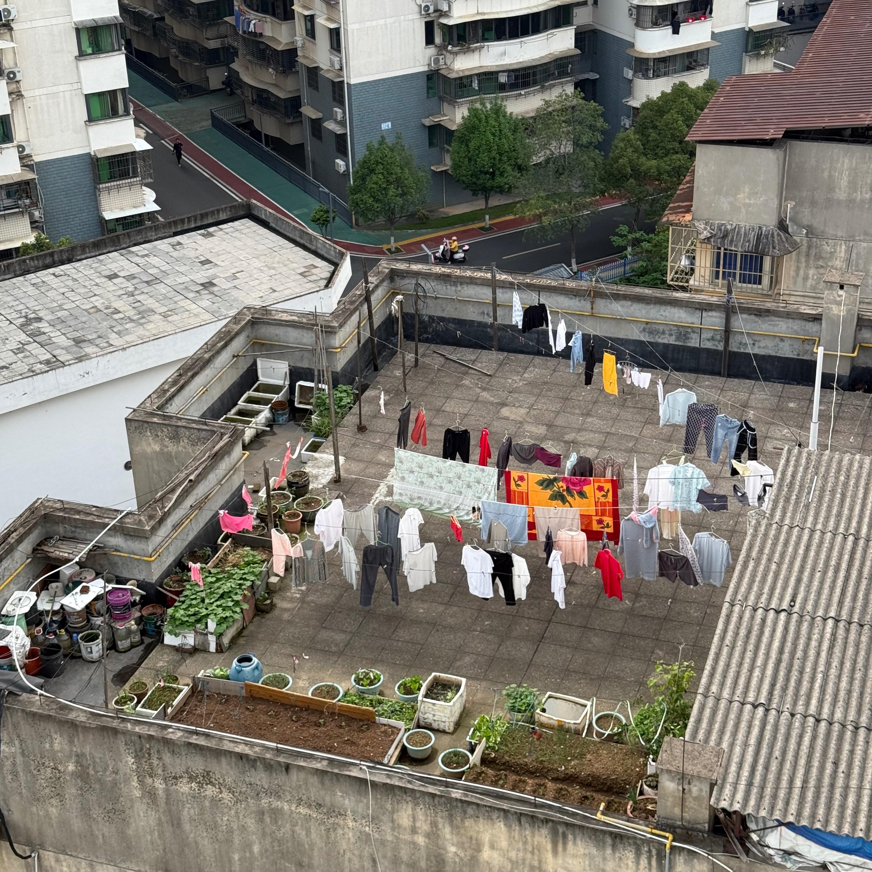 琥珀