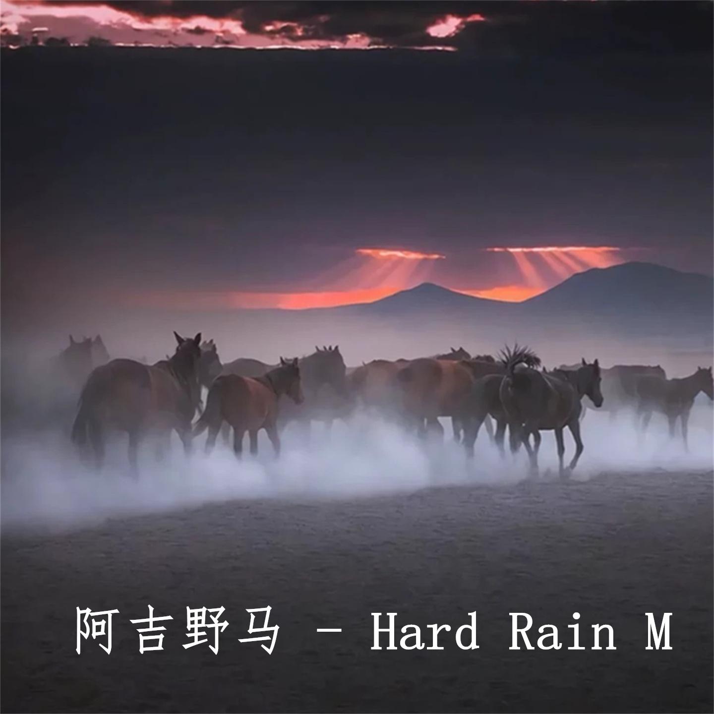 Hard Rain M