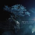 felys Artcore Collection专辑