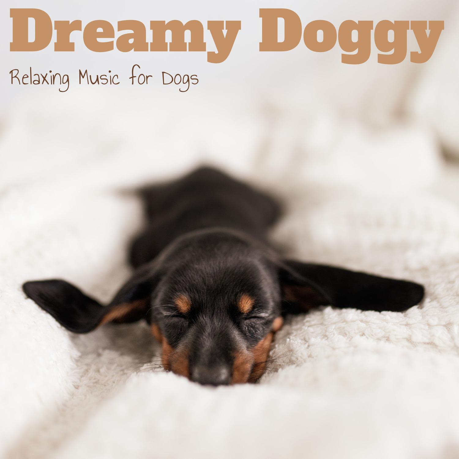 Dog Relaxation - Unwind