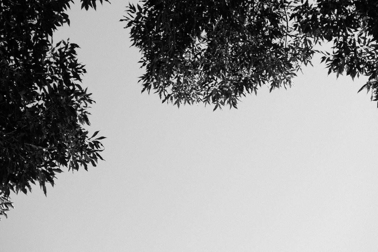 我还是喜欢从前的你