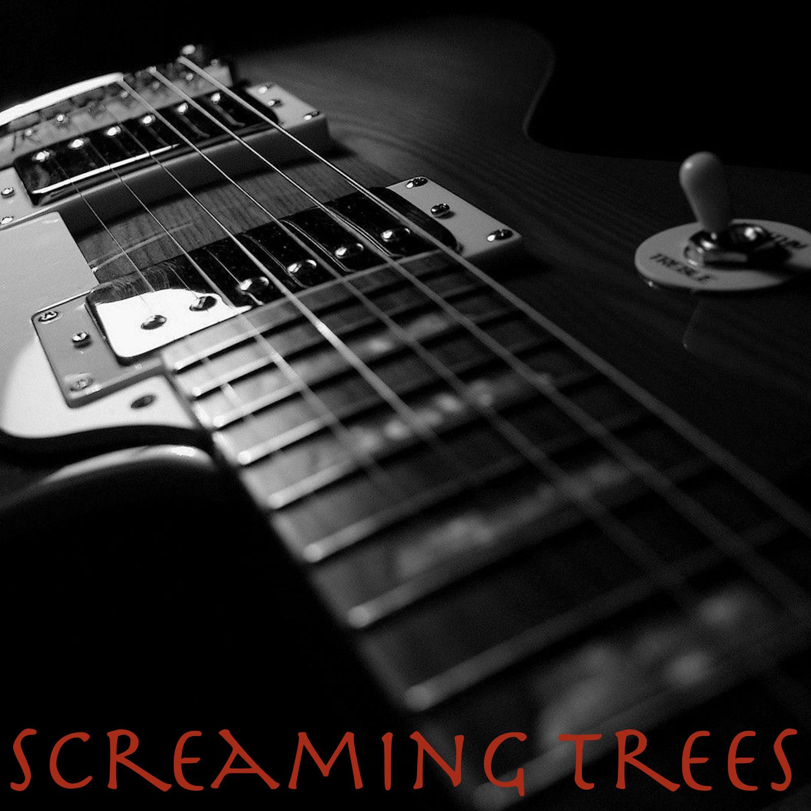 Screaming Trees - I Can't Drive 55