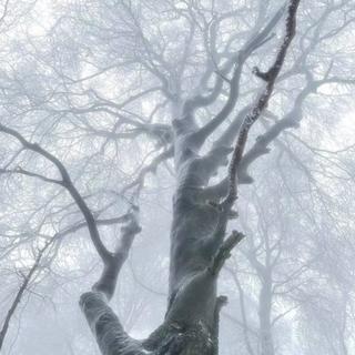 命运是我的肋骨 你长在痛处