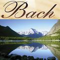 Musica Clasica - Johann Sebastian Bach