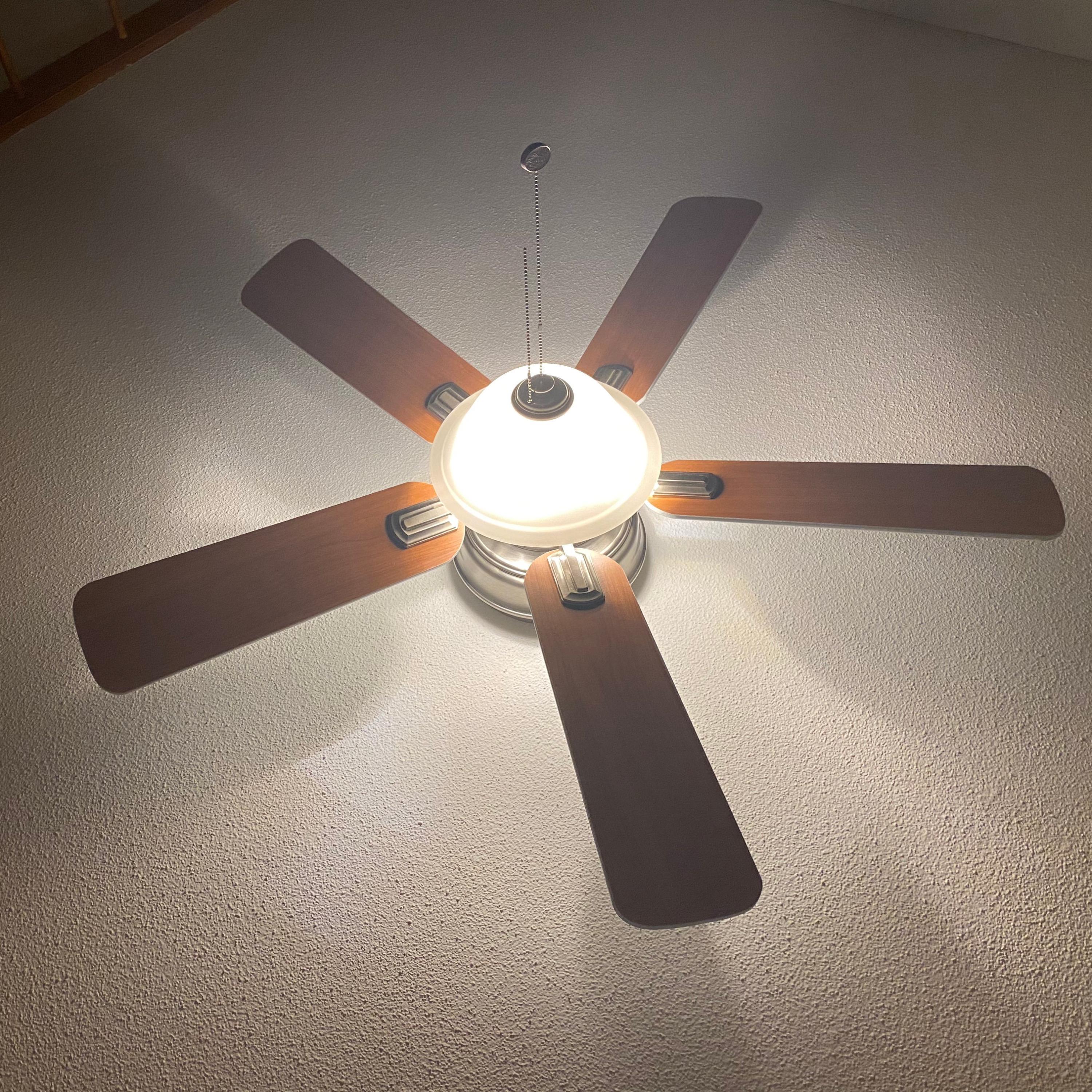 Young Jack Innanen Song