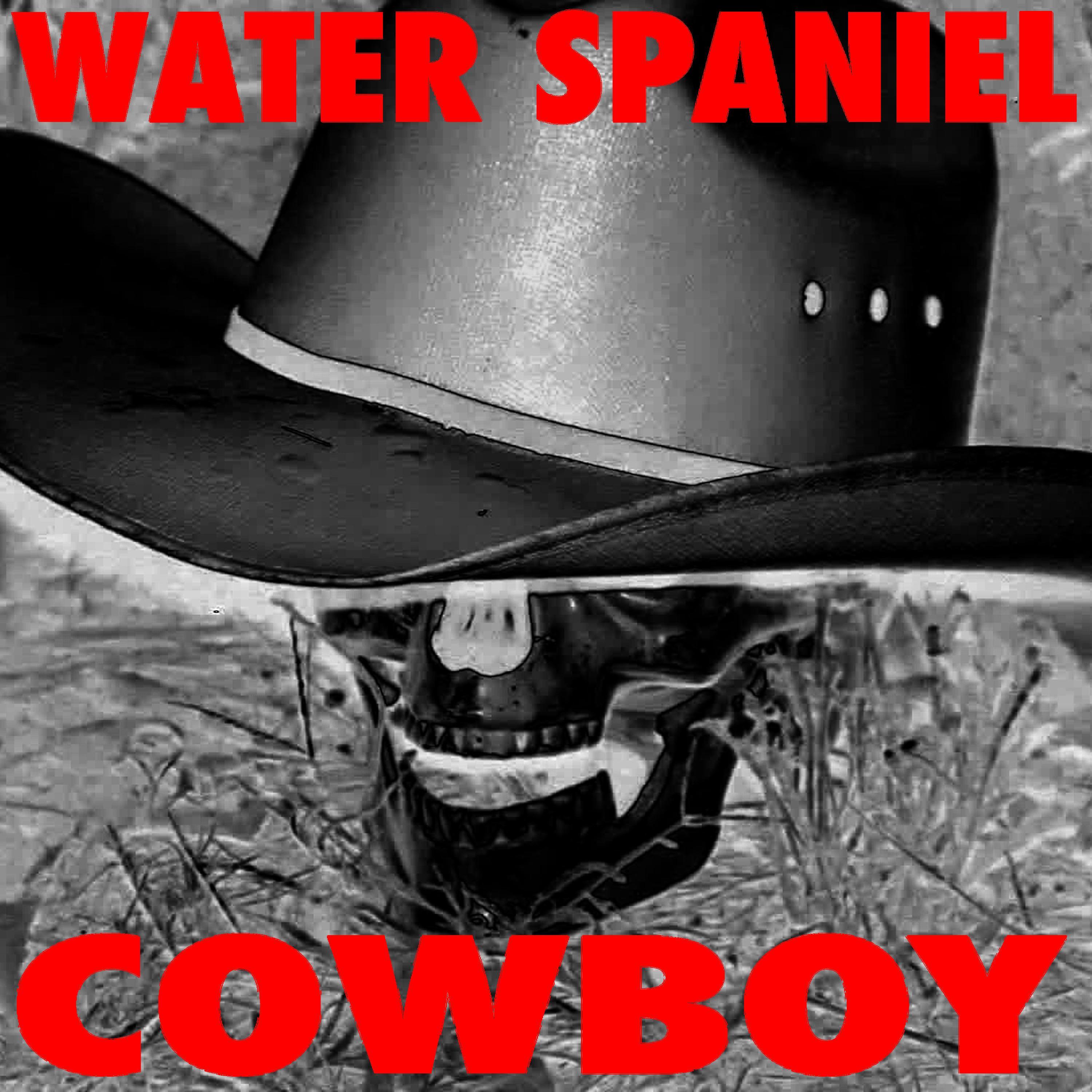 Cowboy