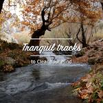 #11 Tranquil Tracks to Clear your Mind专辑